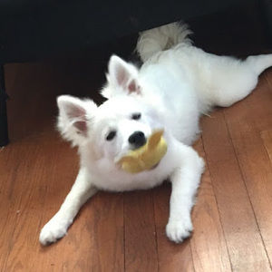 Meet your Posher, Ciron